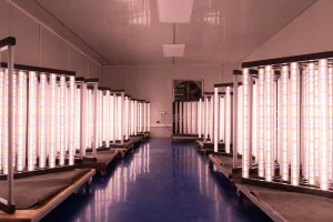 led grow light aging test