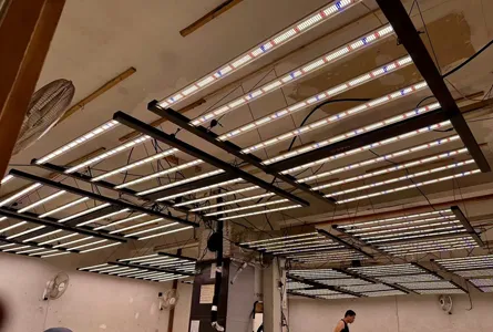 commercial indoor growing