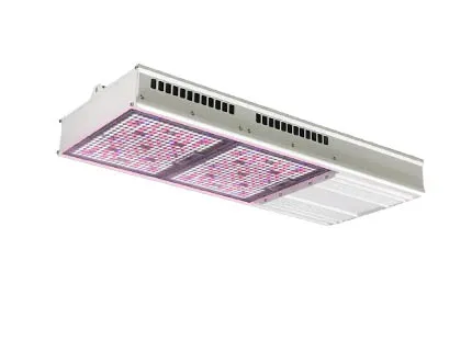 gavita 1930e grow light