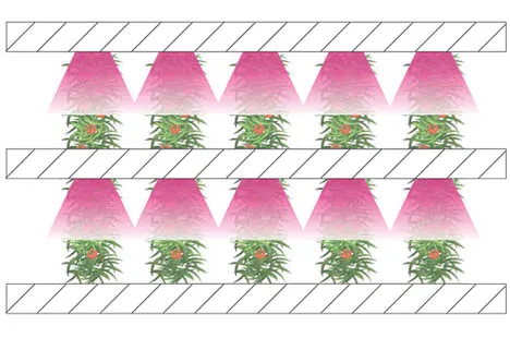top and inter grow lighting