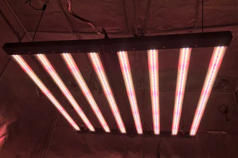 led grow light with adjustable spectrum