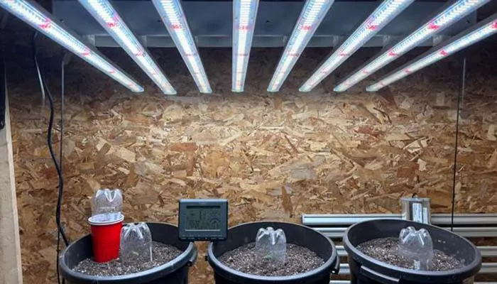 led grow light engineer expertise