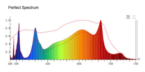 full spectrum grow light for all stages of plant