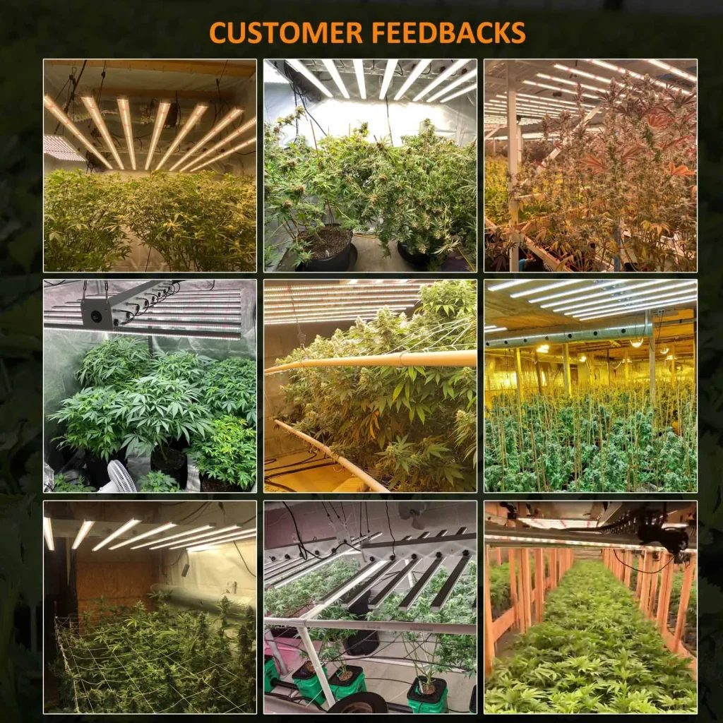 MAKSDEP GROW LIGHTS for indoor growing