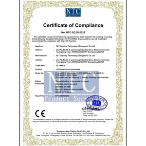 ce lvd certificate