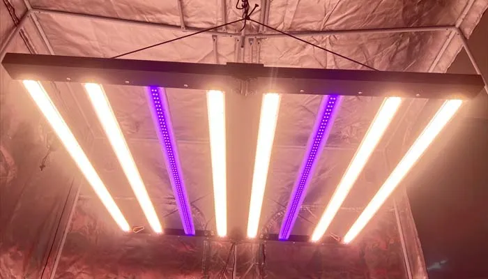 800W LED GROW LIGHT DUAL CHANNEL