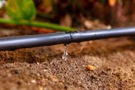 Drip irrigation