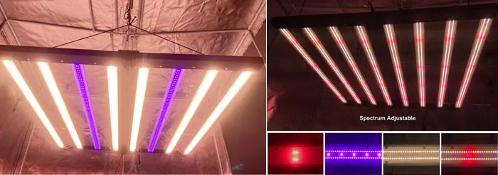 spectrum tunable grow light 1