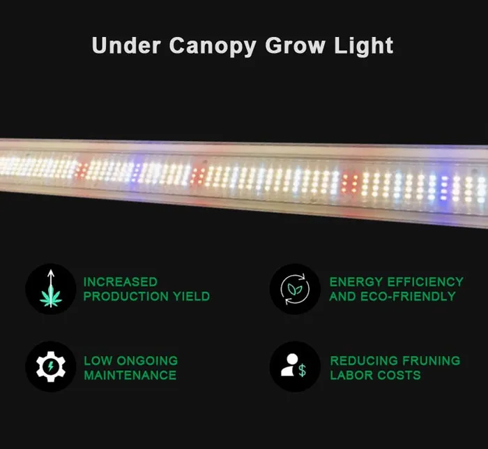 under canopy grow light