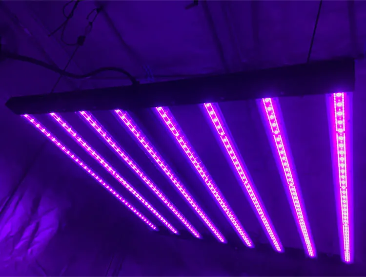 uv light for plants