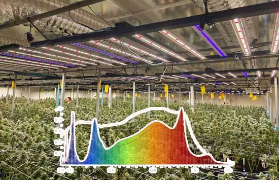 red blue led grow lights