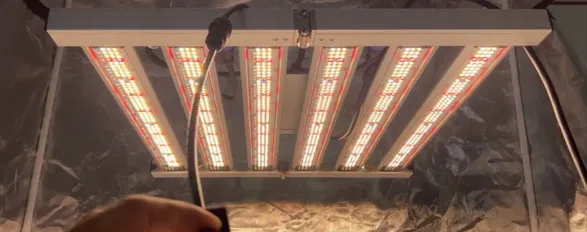 300 watt led grow light full spectrum