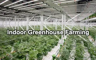 indoor greenhouse farming