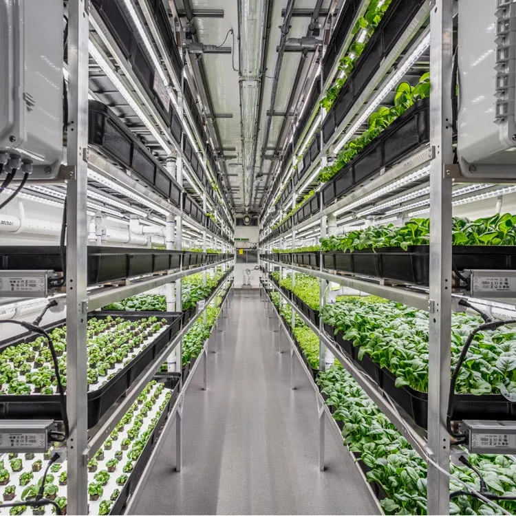 vertical farming