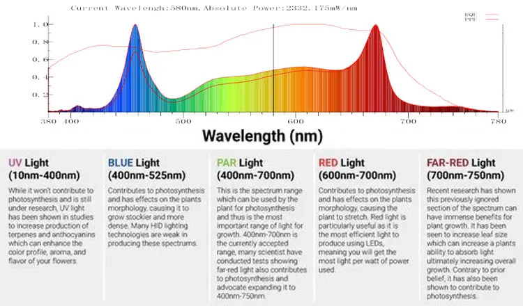 grow light spectrum