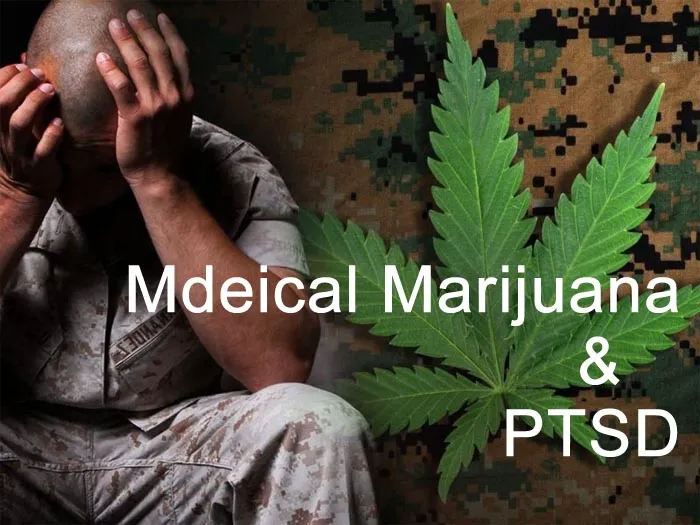 medical marijuana and PTSD