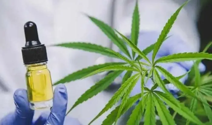 medical canabis drugs