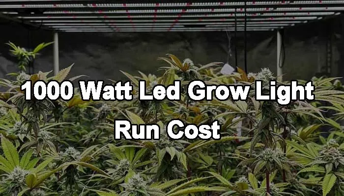 1000w grow light run cost
