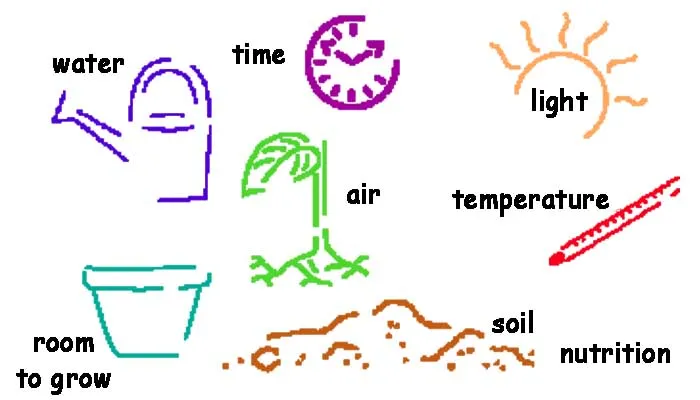Factors for plant growth