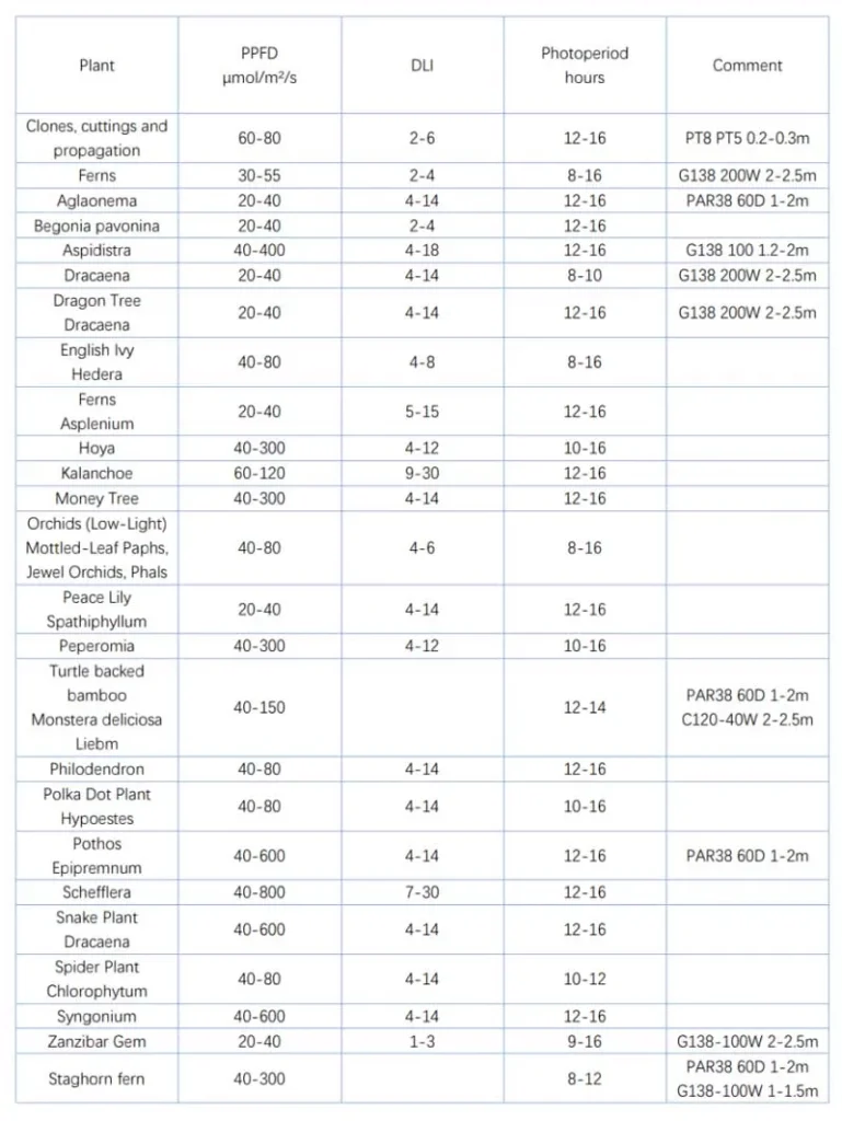 PLANTS PPFD DLI needs