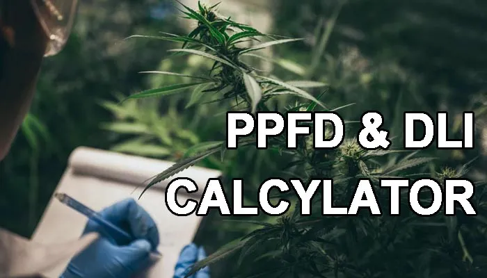 PPFD AND DLI FOR FLOWERING