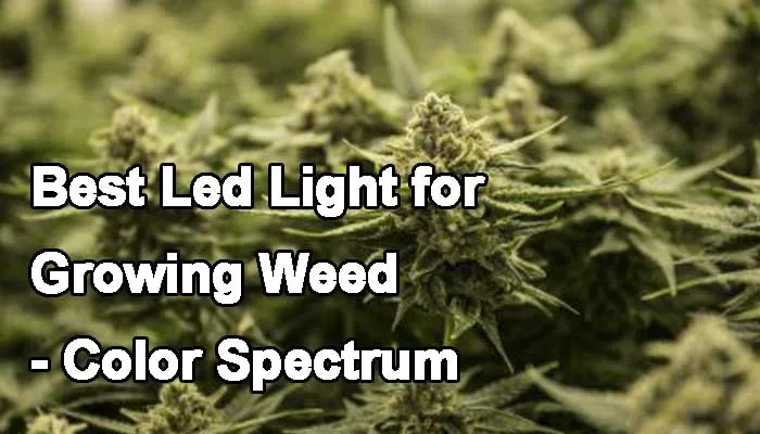 led grow light for weed